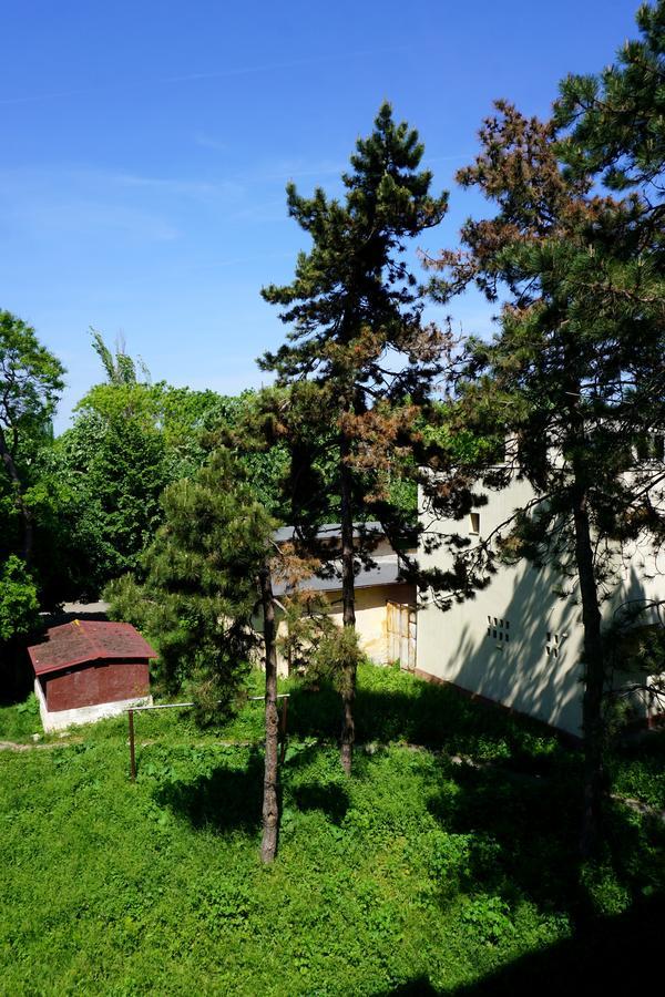 La Alina Apartment Eforie Sud  Exterior photo
